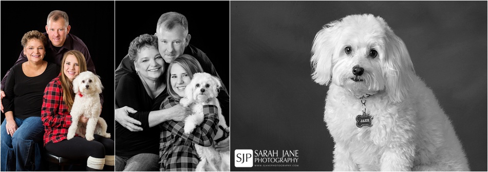 family portraits, family photos, family, families, family photographer, family pics, studio portraits, studio, classic studio work , studio photography, sarah jane photography, with dog, photos with dog, dog portraits, dog photos, sjp, sjanephotography, decatur il, central illinois family photographer, black backdrop, christmas portraits, annual portraits