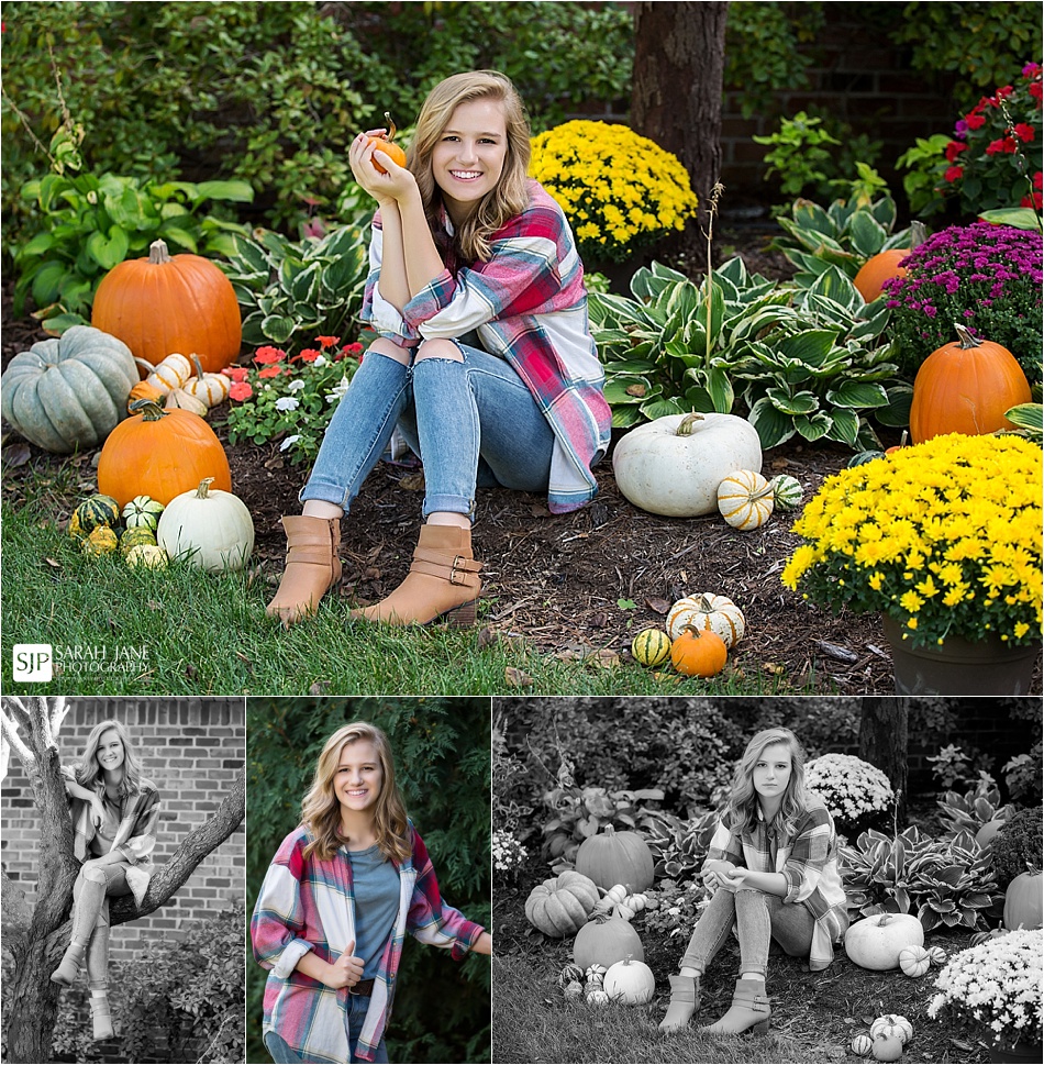 fall senior portraits, decatur il, outdoor, urban, sarah jane photography, best photographer, senior photographer, sjp, sjpseniors, outside images, decatur il, illinois, decatur christian high school, high school seniors, forsyth il, fall portraits, pumpkins, outside, flowers, cats, with pets, sarah jane photography