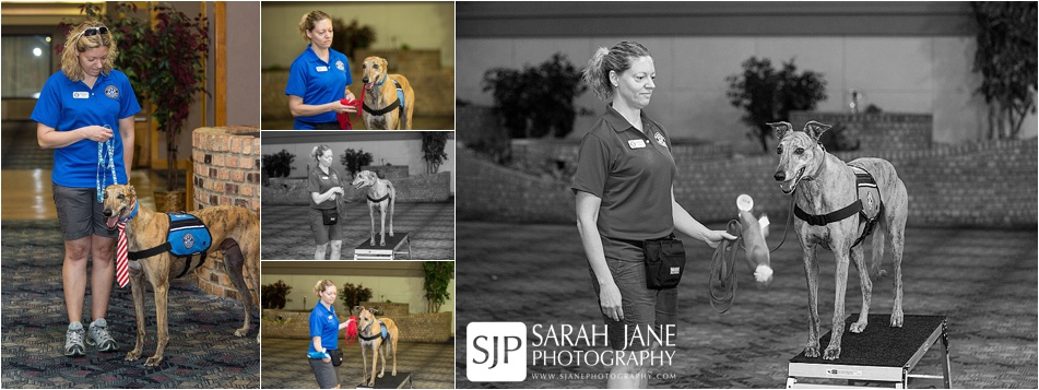 Pawprints ministries comfort dogs decatur il , comfort dogs, service dogs, training, events, volunteer events, volunteers, service project, sarah jane photography, senior models, do good, help people, cancer care packages, decatur il, central il, illinois, sjp, best photographer