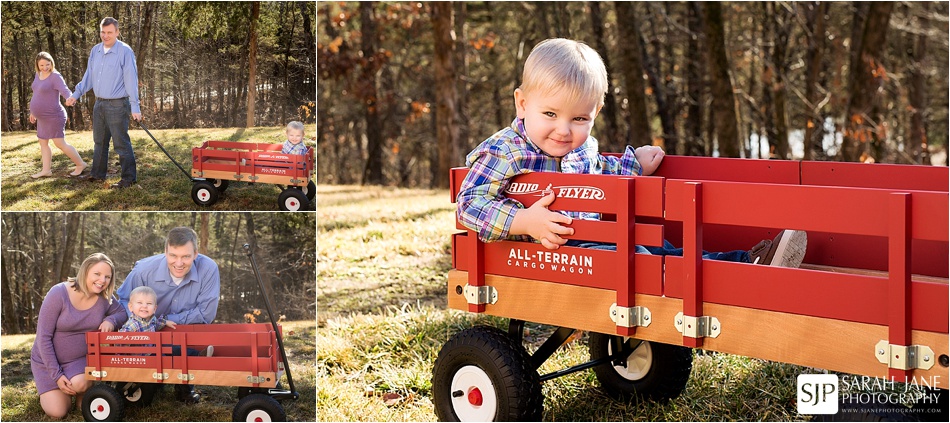 family portraits decatur il, illinois photographer, sarah jane photography , sjanephotography, mccoy family, family, family poses, photography, portraits, best photographer, best family photos, newborn, first year, baby grows, jefferson city missouri